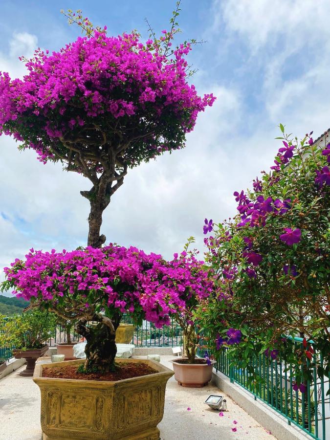 Nang Mai Homestay Νταλάτ Εξωτερικό φωτογραφία